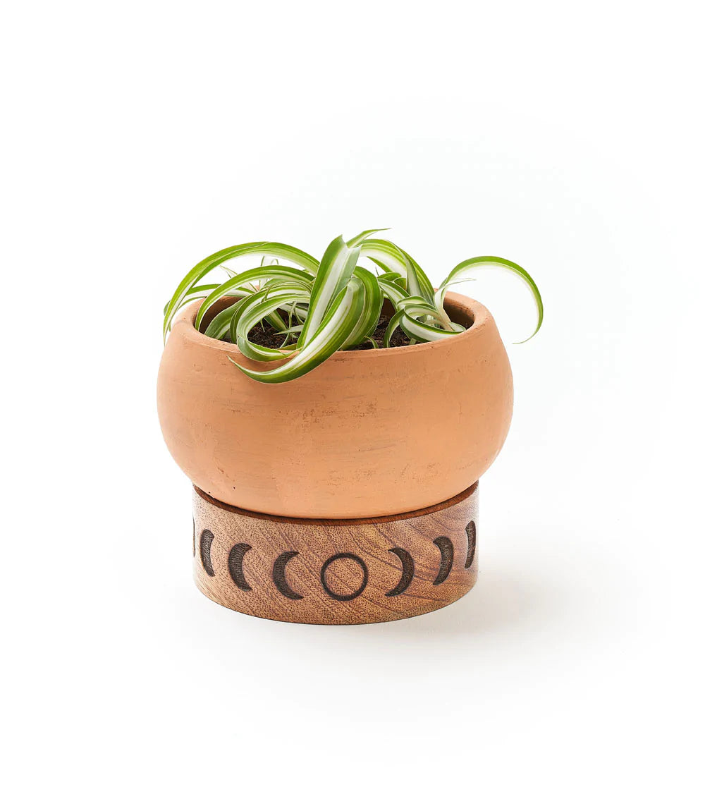 clay pots for plants india Terracotta Plant Pot with Mango Wood Stand