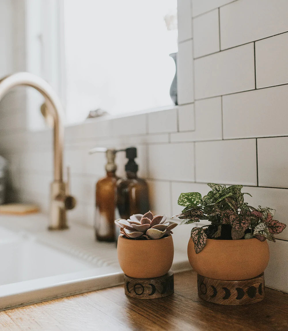 Terracotta Plant Pot with Mango Wood Stand - Medium Moon Phase, India