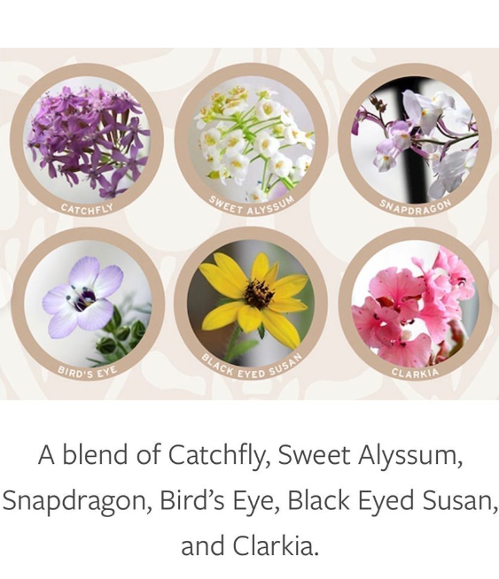 Tik Tac You Won My Heart Plantable Valentines Day Card, Canada