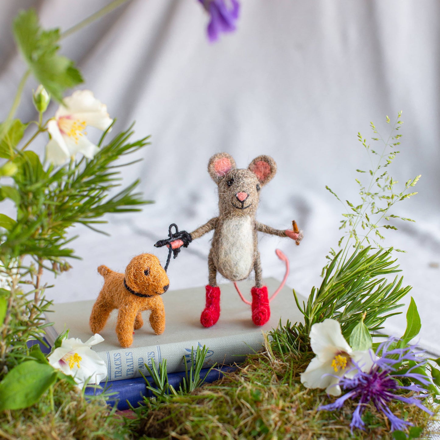 Dog Walker Mouse: Walking Dachshund, Nepal