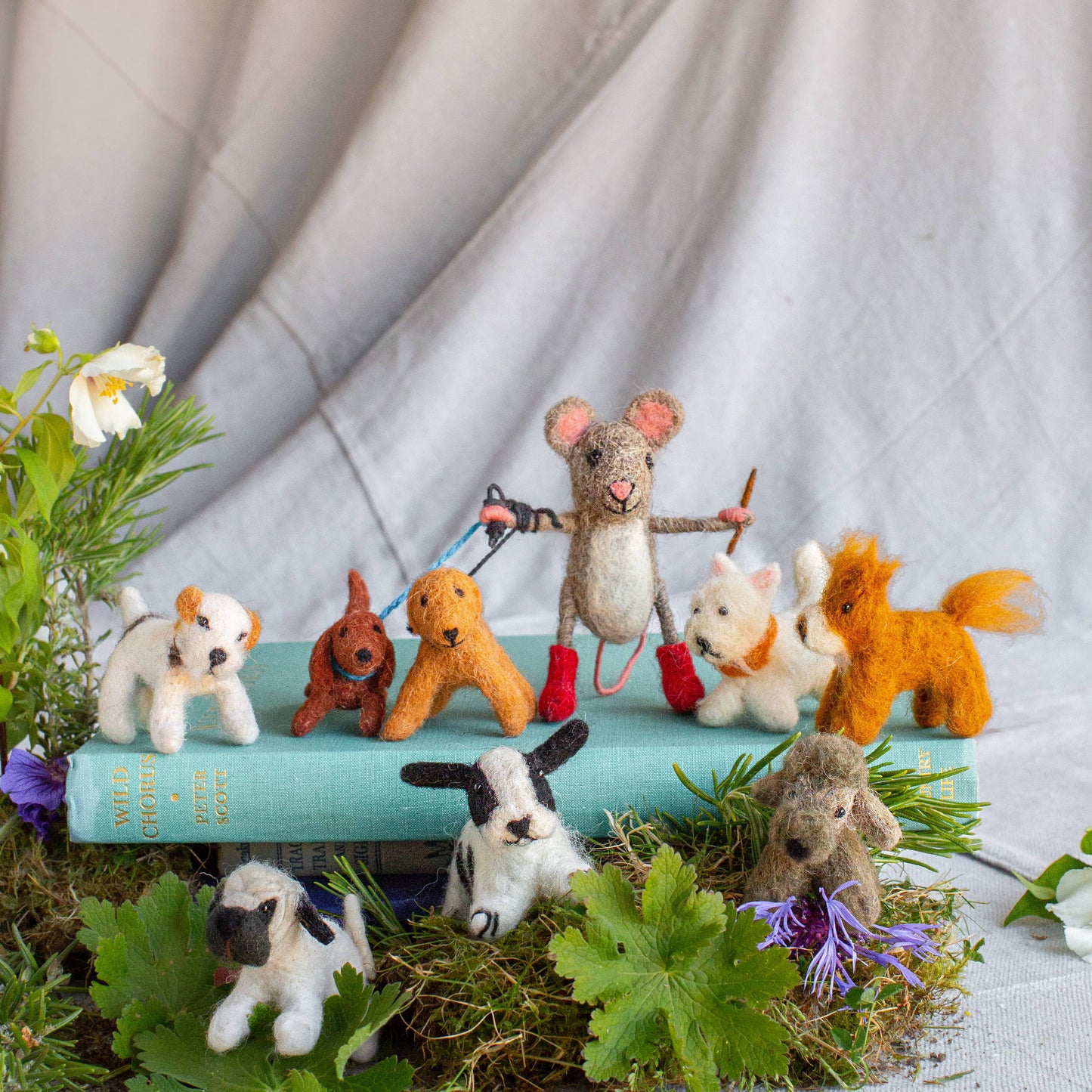 Dog Walker Mouse: Walking Dachshund, Nepal