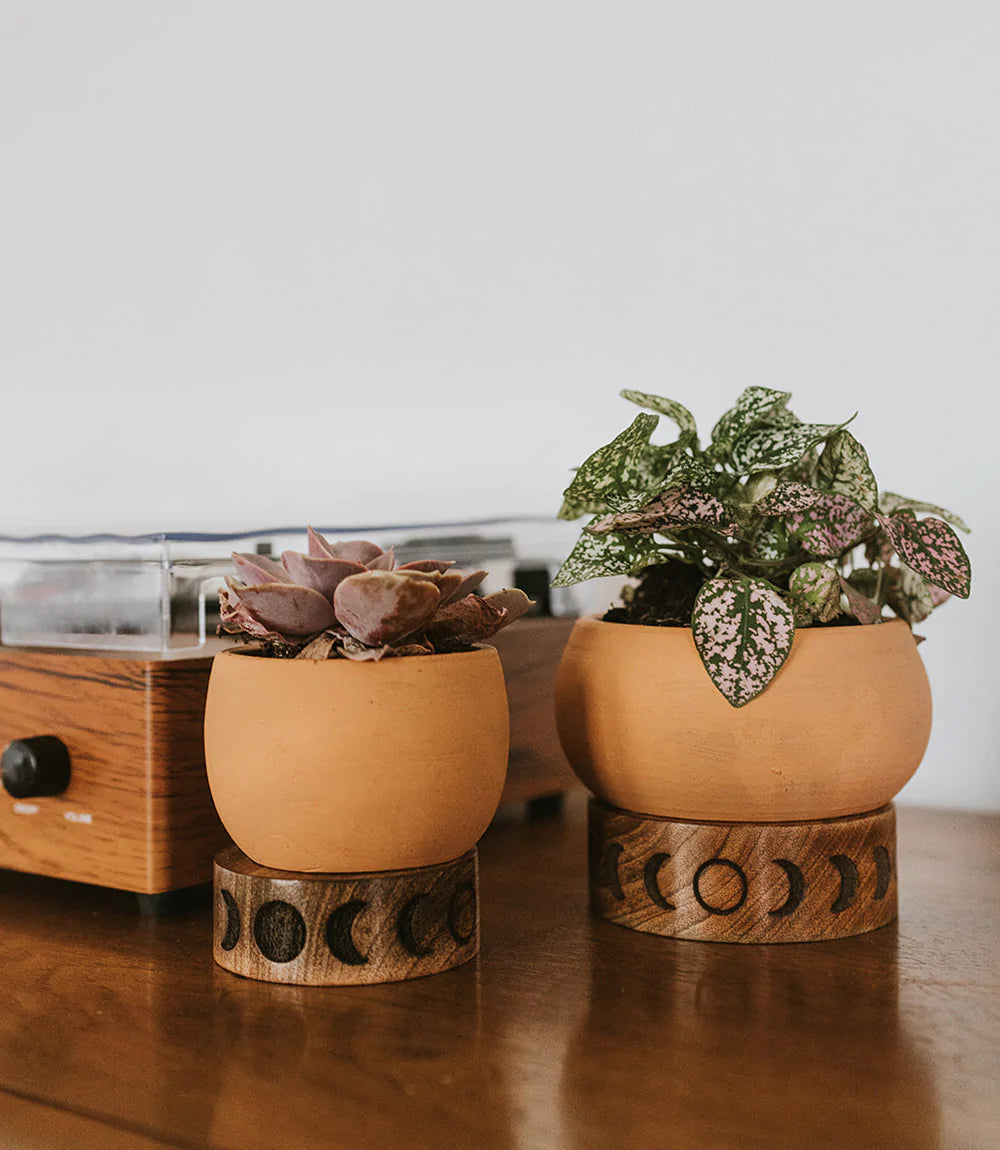 Terracotta Plant Pot with Mango Wood Stand - Medium Moon Phase, India